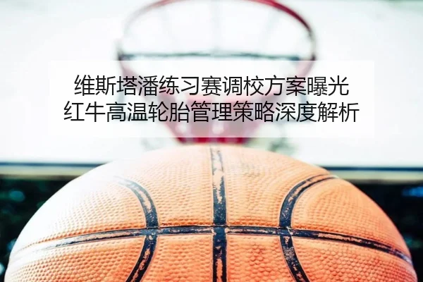 维斯塔潘练习赛调校方案曝光 红牛高温轮胎管理策略深度解析
