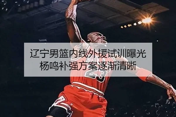 辽宁男篮内线外援试训曝光 杨鸣补强方案逐渐清晰